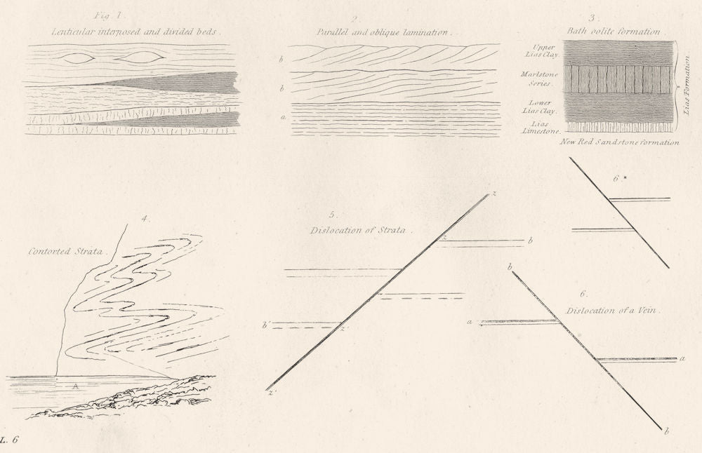 GEOLOGY. Lenticular; Parallel Oblique; Bath Oolite; Contorted Strata 1880